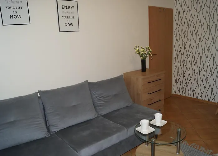 Goscinne Przy Kochanowskiego Pansiyon *